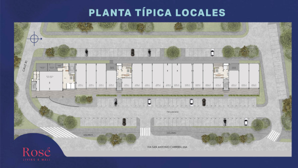 Planta Típica Locales - Planta Típica
