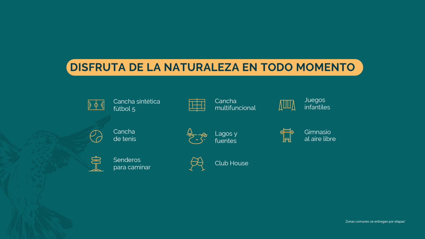 Localización Reserva Silvestre