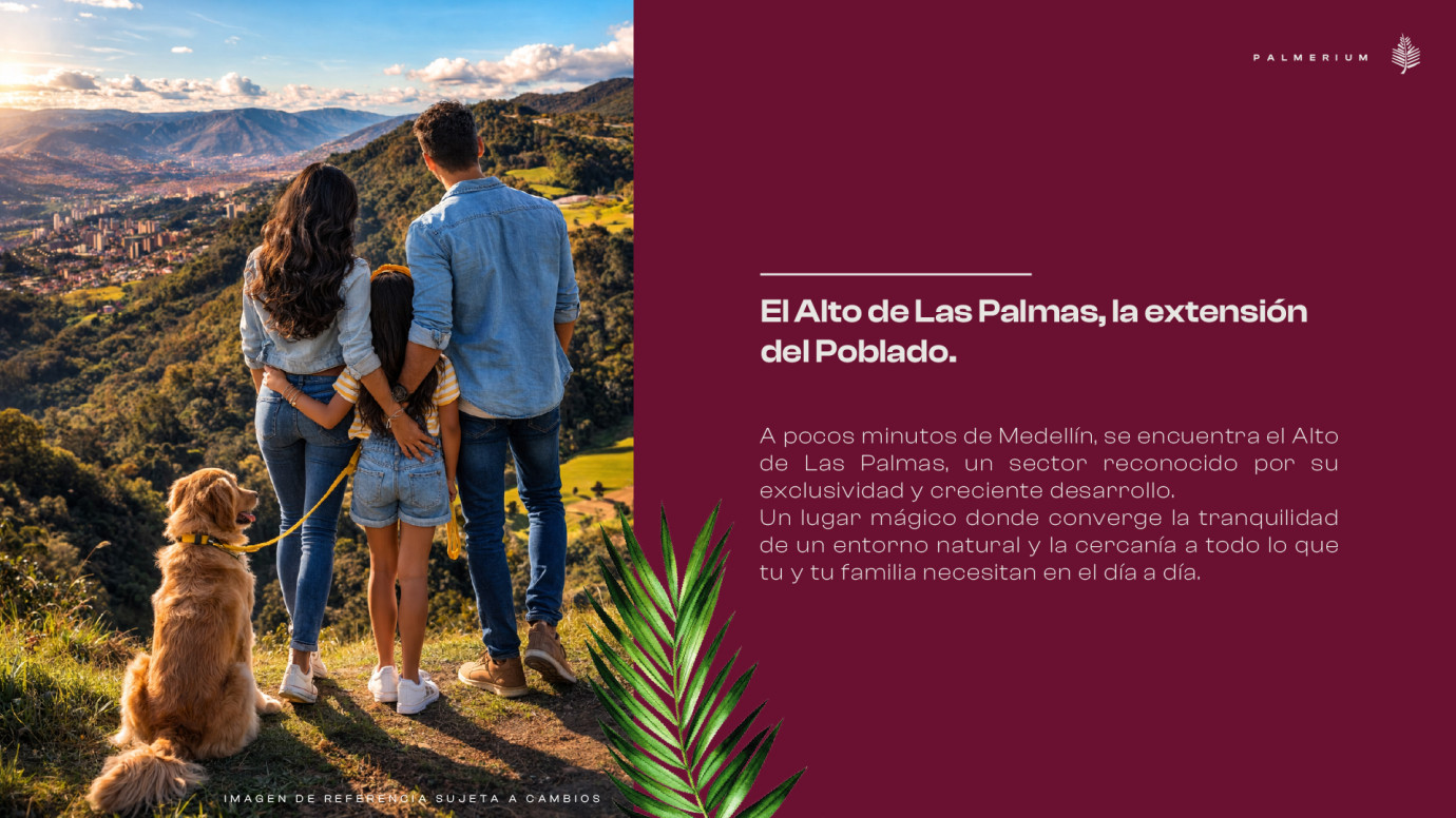 Localización Palmerium