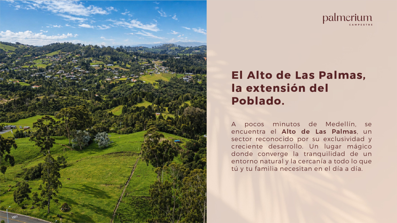 Localización Palmerium Campestre