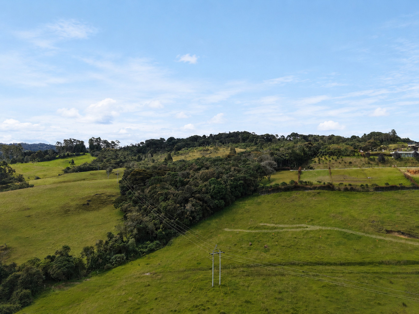 Palmerium Campestre