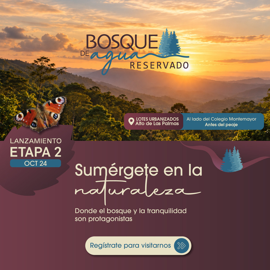 Lanzamiento Bosque de Agua