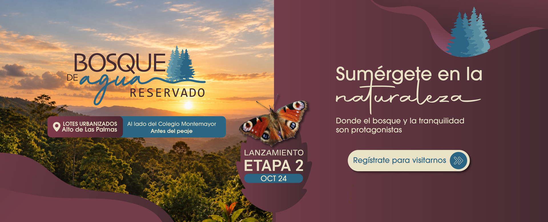 Lanzamiento Bosque de Agua