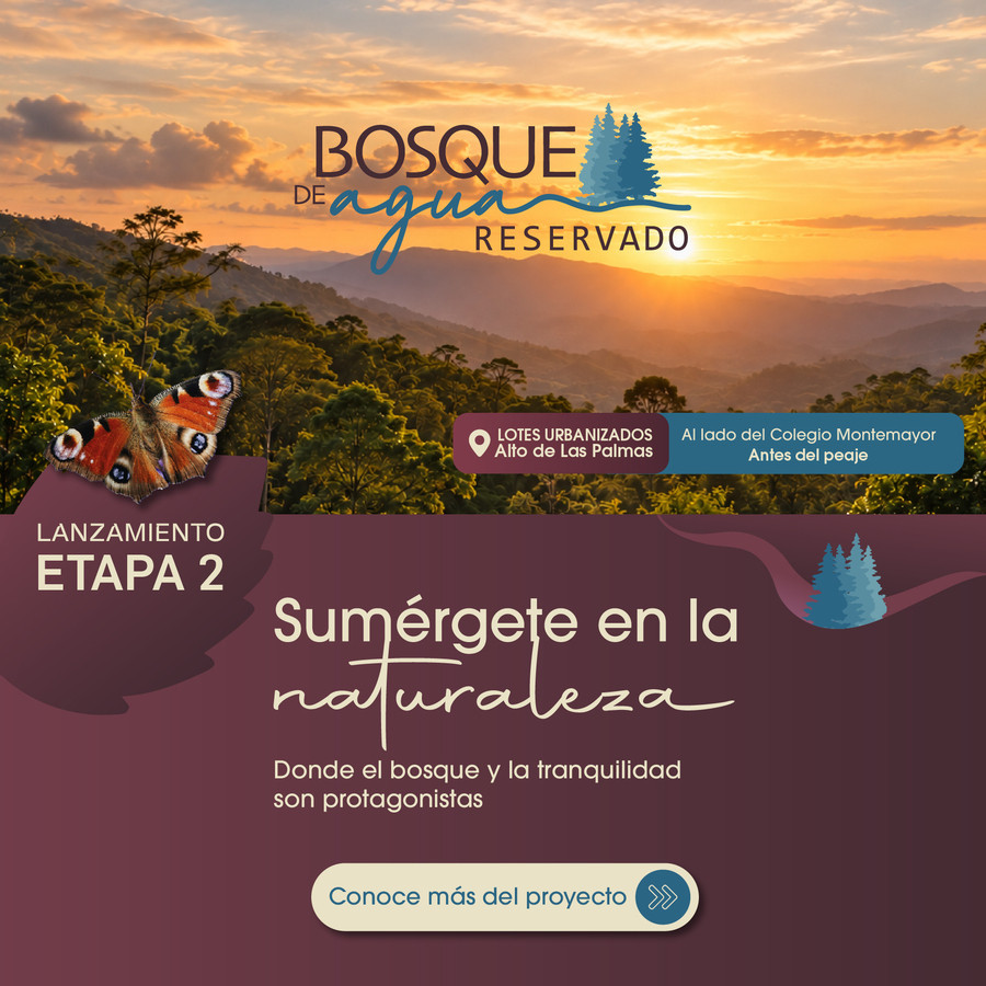 Lanzamiento Bosque de Agua